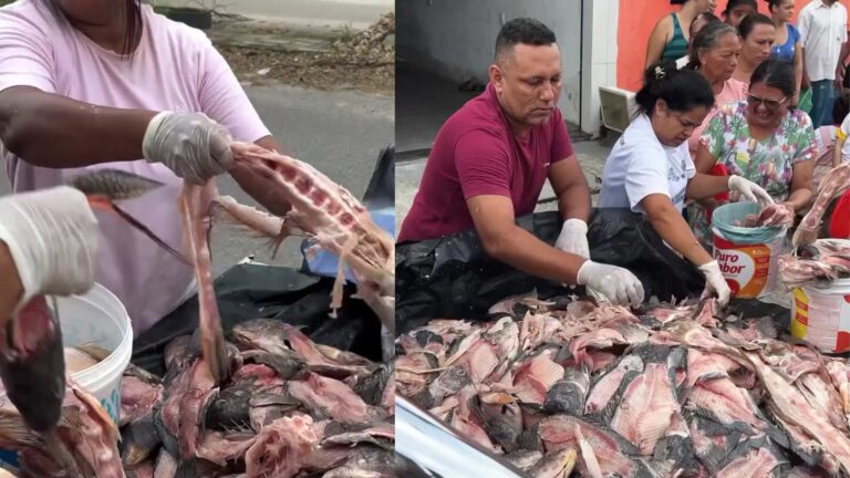 Projeto distribui carcaças de peixe na periferia de Fortaleza